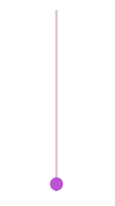 IMG GOES HERE